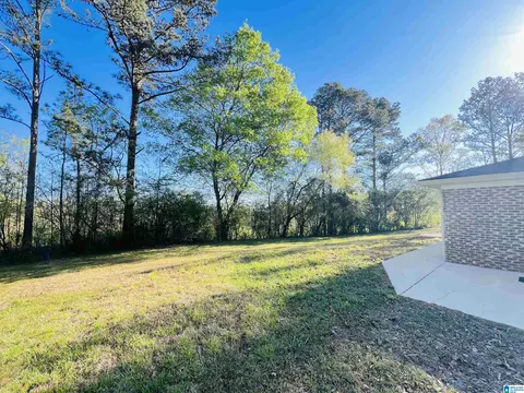Exterior - 465 Bailey Springs Rd, Ohatchee, AL 36271 photo 11 of 11