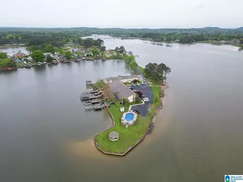 View/Area - 108 Emerald Pt, Riverside, AL 35135 photo 2 of 10