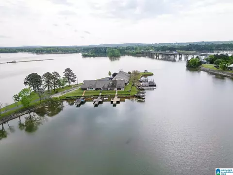 View/Area - 108 Emerald Pt, Riverside, AL 35135 photo 8 of 10
