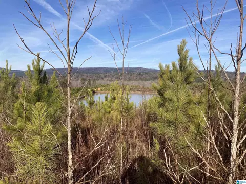 13699 Highway 55 #NA, Westover, AL 35186