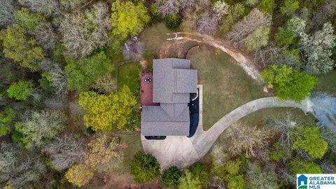 View/Area - 87 Timberline Cir, Jasper, AL 35504 photo 2 of 5