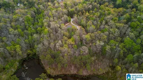 View/Area - 87 Timberline Cir, Jasper, AL 35504 photo 3 of 5