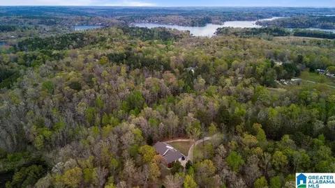 View/Area - 87 Timberline Cir, Jasper, AL 35504 photo 5 of 5