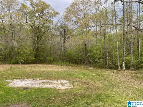 389 Clark Rd, Jasper, AL 35503 photo 24