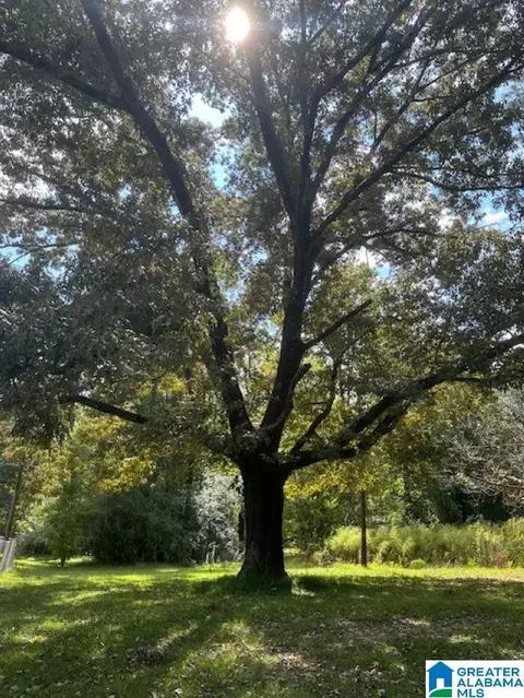 2227 Harris Wright Dr, Birmingham, AL 35242