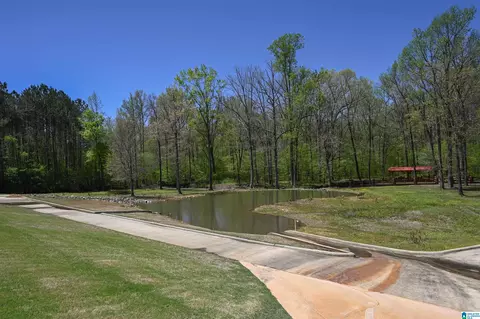 491 Reid Rd, Dora, AL 35062 photo 45