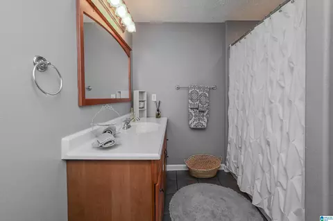 491 Reid Rd, Dora, AL 35062 photo 35