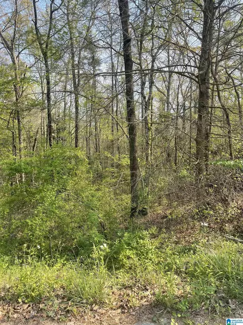 0 Sugar Hill Dr #29 & 28, Heflin, AL 36264