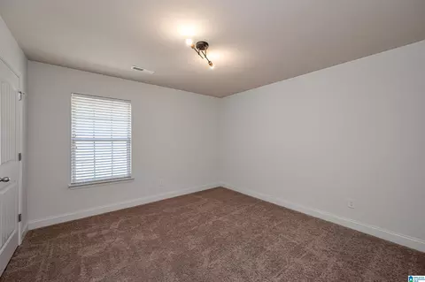Other - 151 Hidden Trace Ct, Montevallo, AL 35115 photo 10 of 13
