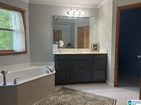 1029 Red Valley Rd, Remlap, AL 35133 photo 30