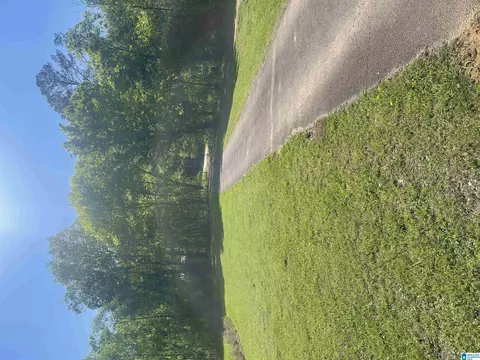 1029 Red Valley Rd, Remlap, AL 35133 photo 6