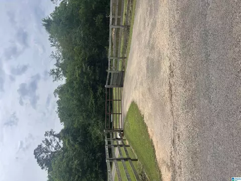 1029 Red Valley Rd, Remlap, AL 35133 photo 12