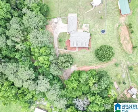 1029 Red Valley Rd, Remlap, AL 35133 photo 2