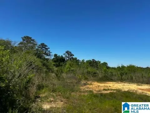 9700 Bates Ave #0, Birmingham, AL 35217