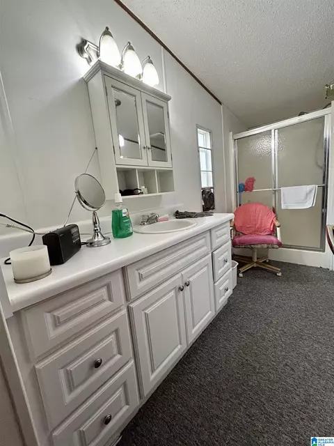 262 6th St W, Fruithurst, AL 36262 photo 12