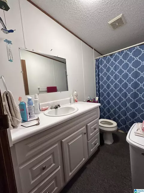 262 6th St W, Fruithurst, AL 36262 photo 10