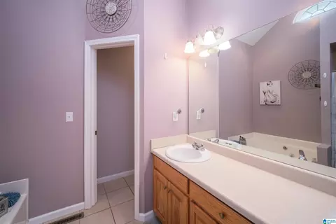 Bath - 1407 Rutledge Ln, Jasper, AL 35503 photo 2 of 3