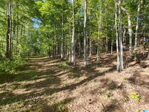 00 Cove Rd #28, Sylacauga, AL 35150