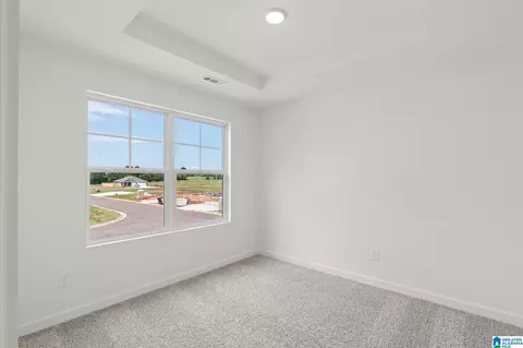 6712 Nathan Cir, Mc Calla, AL 35111 photo 35