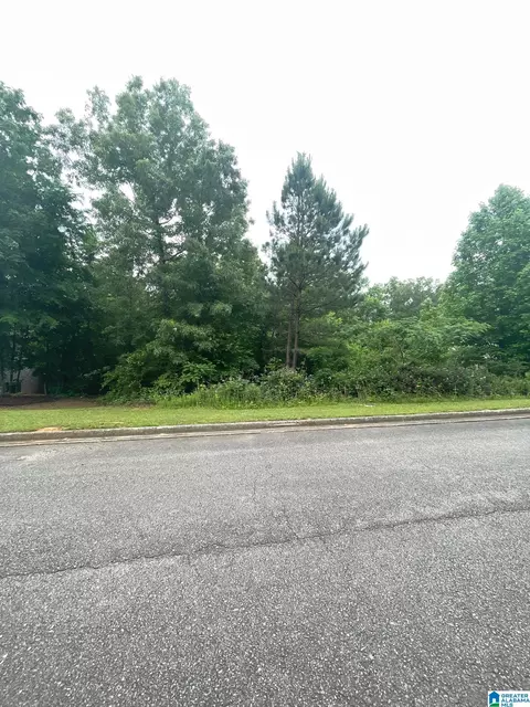 0 Cody Cir #36, Springville, AL 35146