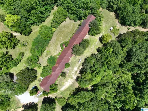 View/Area - 1615 County Road 34, Clanton, AL 35045 photo 1 of 1