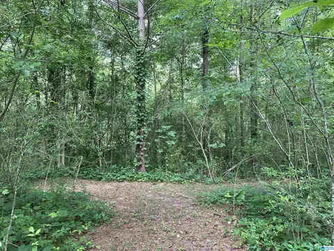 3500 Talladega Hwy #0, Sylacauga, AL 35150