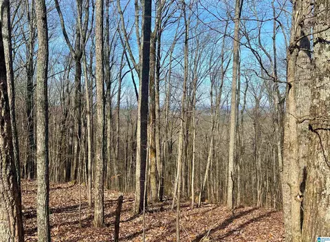 0 County Road 852 #1, Heflin, AL 36264