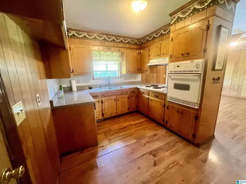 4848 Pope Ave, Steele, AL 35987 photo 4