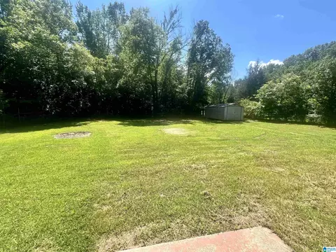 4848 Pope Ave, Steele, AL 35987 photo 14