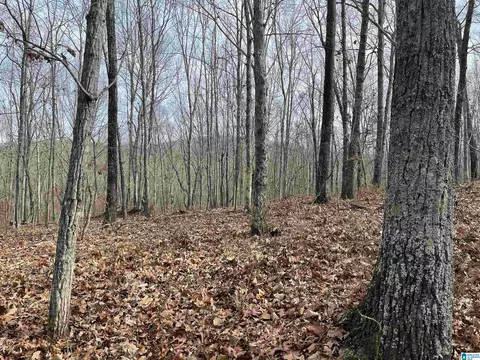 0 County Road 852, Heflin, AL 36264