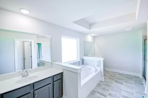 6724 Nathan Cir, Mc Calla, AL 35111 photo 20
