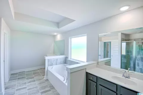 6724 Nathan Cir, Mc Calla, AL 35111 photo 18