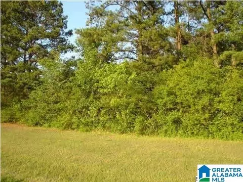8421 Rouse Rd #ACREAGE, Warrior, AL 35180 photo 1