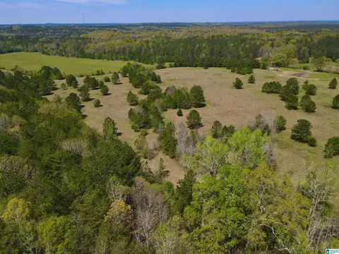 0 Highway 145 #1, Shelby, AL 35143