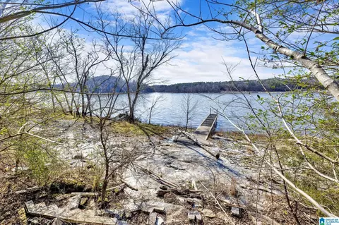 146 River Run Rd, Clanton, AL 35046 photo 3