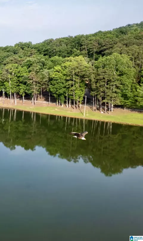 501 Quail Valley Farm Rd, Oneonta, AL 35121 | 78 Photos - Movoto