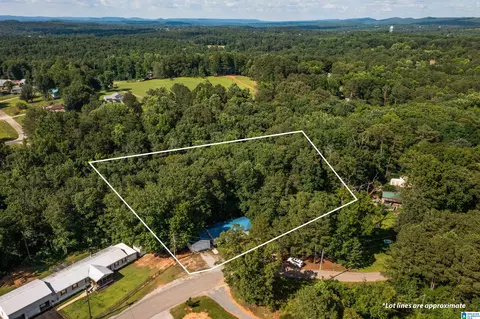 650 Davidson Cir, Locust Fork, AL 35097 photo 3