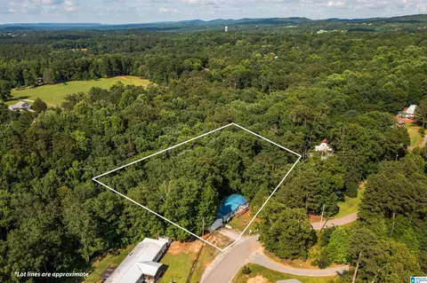 650 Davidson Cir, Locust Fork, AL 35097 photo 4