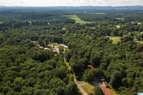 650 Davidson Cir, Locust Fork, AL 35097 photo 47