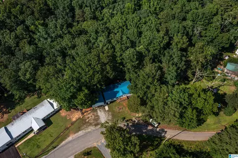 650 Davidson Cir, Locust Fork, AL 35097 photo 55