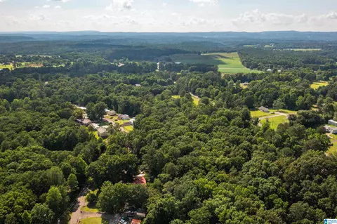 650 Davidson Cir, Locust Fork, AL 35097 photo 46