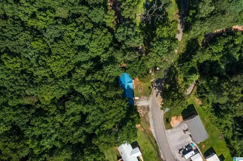 650 Davidson Cir, Locust Fork, AL 35097 photo 54