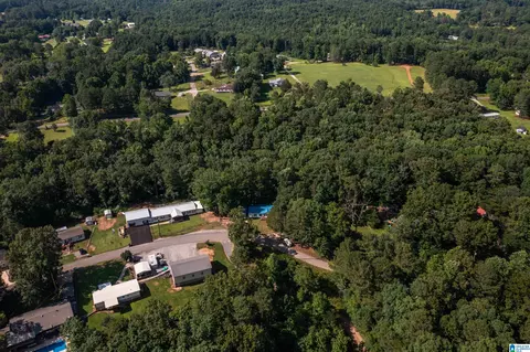 650 Davidson Cir, Locust Fork, AL 35097 photo 51