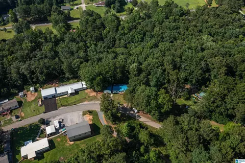 650 Davidson Cir, Locust Fork, AL 35097 photo 52