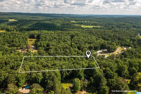 650 Davidson Cir, Locust Fork, AL 35097 photo 5