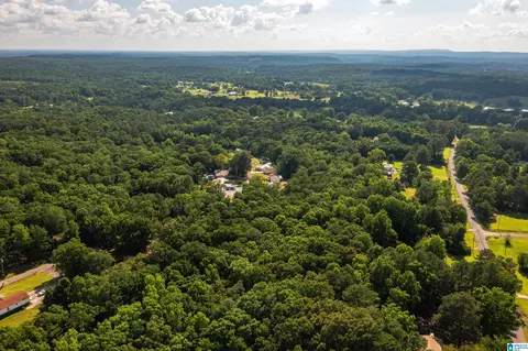 650 Davidson Cir, Locust Fork, AL 35097 photo 45