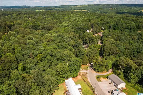 650 Davidson Cir, Locust Fork, AL 35097 photo 40