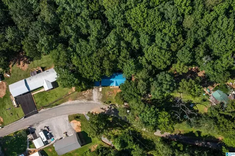 650 Davidson Cir, Locust Fork, AL 35097 photo 53