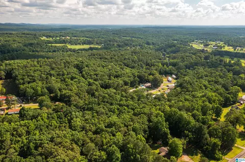 650 Davidson Cir, Locust Fork, AL 35097 photo 44