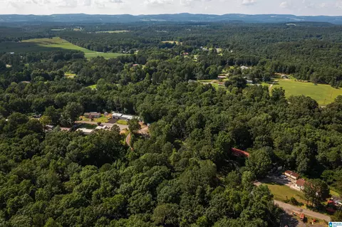 650 Davidson Cir, Locust Fork, AL 35097 photo 48